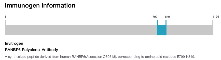 RANBP6 Polyclonal Antibody