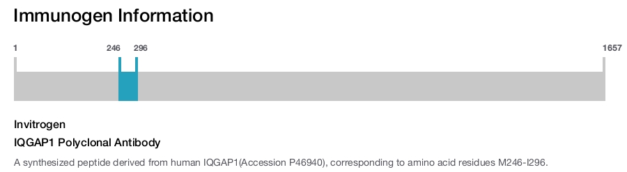 IQGAP1 Polyclonal Antibody