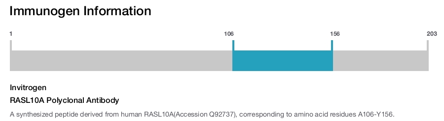 RASL10A Polyclonal Antibody