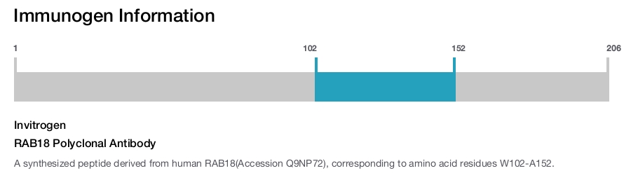 RAB18 Polyclonal Antibody