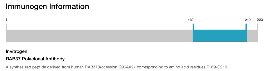 RAB37 Polyclonal Antibody