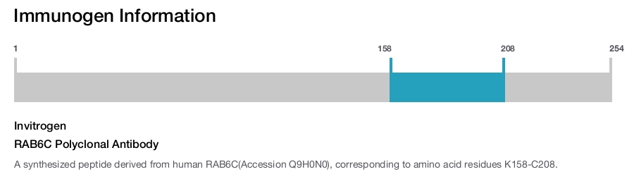 RAB6C Polyclonal Antibody