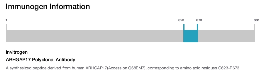 ARHGAP17 Polyclonal Antibody
