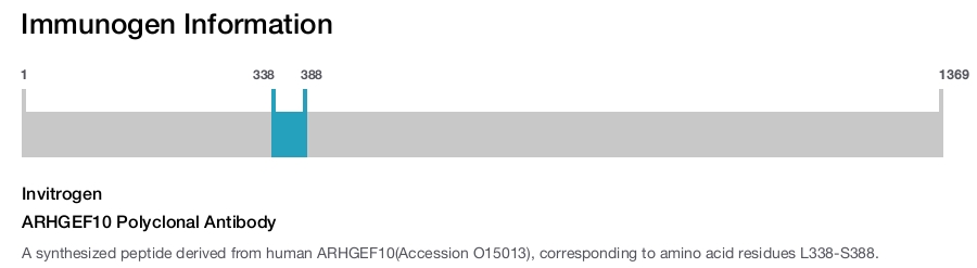 ARHGEF10 Polyclonal Antibody