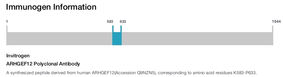 ARHGEF12 Polyclonal Antibody