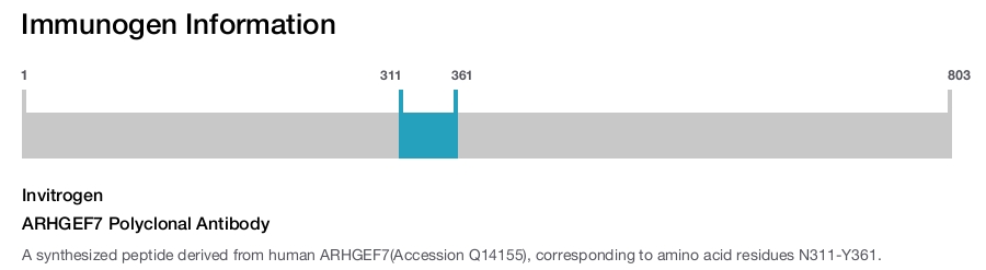 ARHGEF7 Polyclonal Antibody