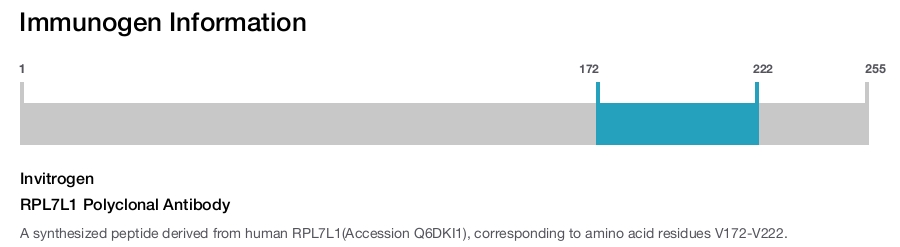 RPL7L1 Polyclonal Antibody