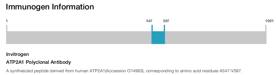 ATP2A1 Polyclonal Antibody