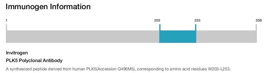 PLK5 Polyclonal Antibody