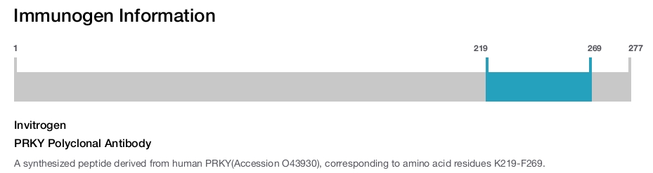 PRKY Polyclonal Antibody