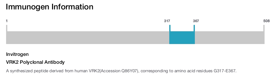 VRK2 Polyclonal Antibody