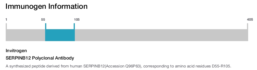SERPINB12 Polyclonal Antibody