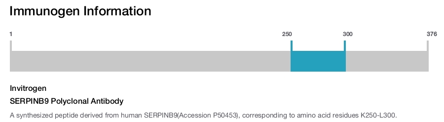 SERPINB9 Polyclonal Antibody