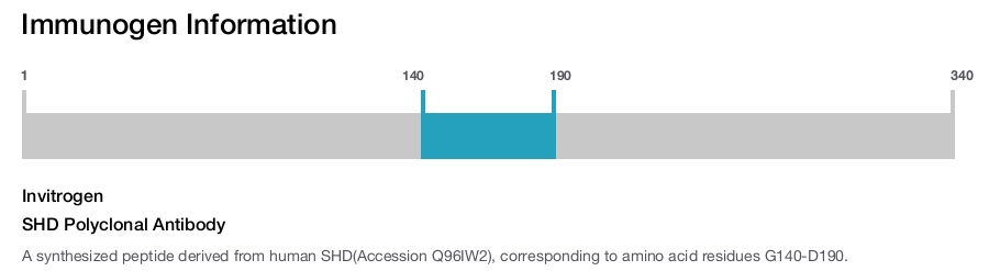 SHD Polyclonal Antibody