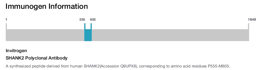 SHANK2 Polyclonal Antibody