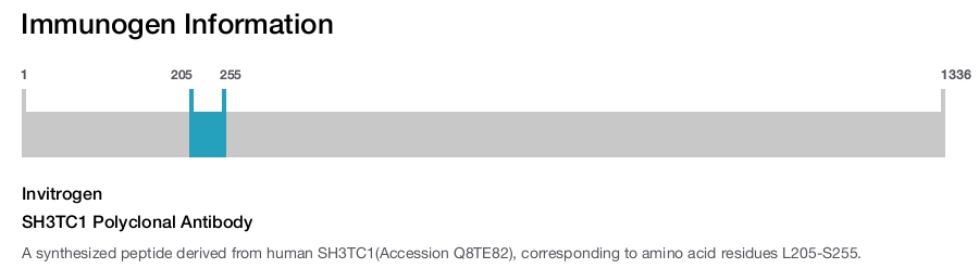 SH3TC1 Polyclonal Antibody