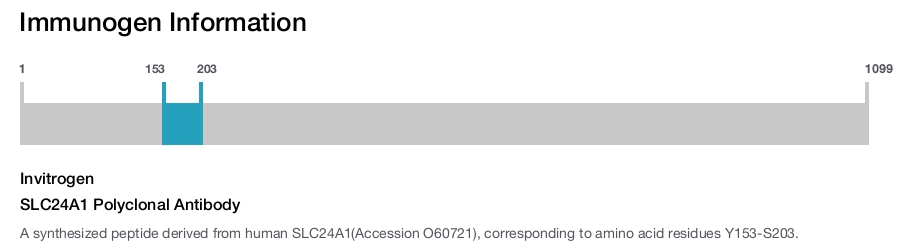 SLC24A1 Polyclonal Antibody