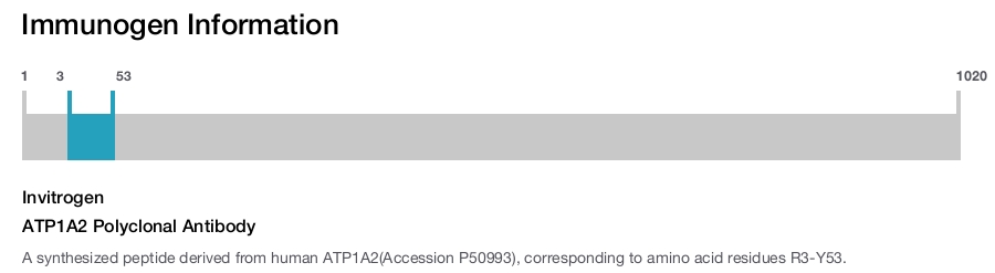 ATP1A2 Polyclonal Antibody