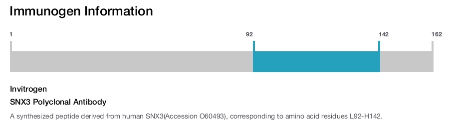 SNX3 Polyclonal Antibody