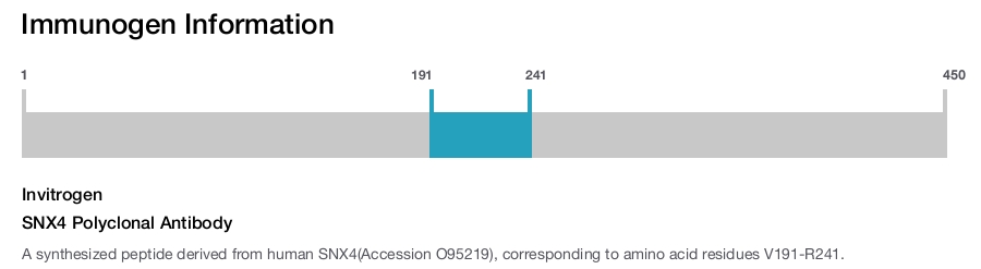 SNX4 Polyclonal Antibody