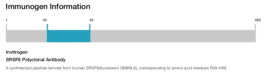 SRSF8 Polyclonal Antibody