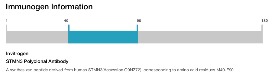 STMN3 Polyclonal Antibody