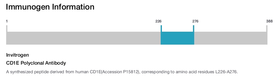CD1E Polyclonal Antibody