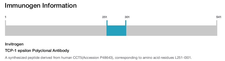 TCP-1 epsilon Polyclonal Antibody