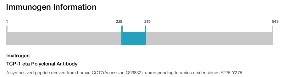 TCP-1 eta Polyclonal Antibody