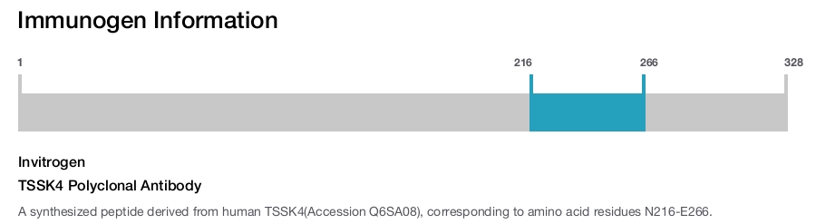 TSSK4 Polyclonal Antibody