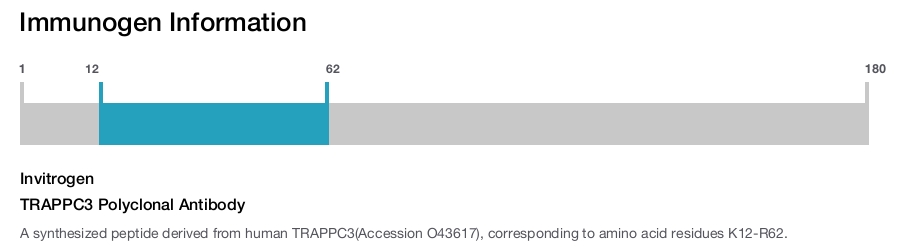 TRAPPC3 Polyclonal Antibody