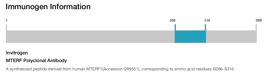 MTERF Polyclonal Antibody