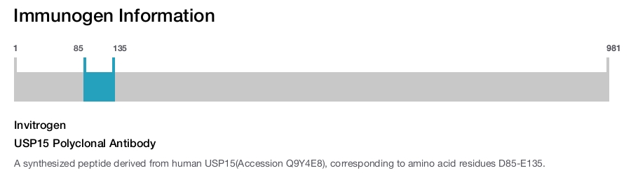 USP15 Polyclonal Antibody