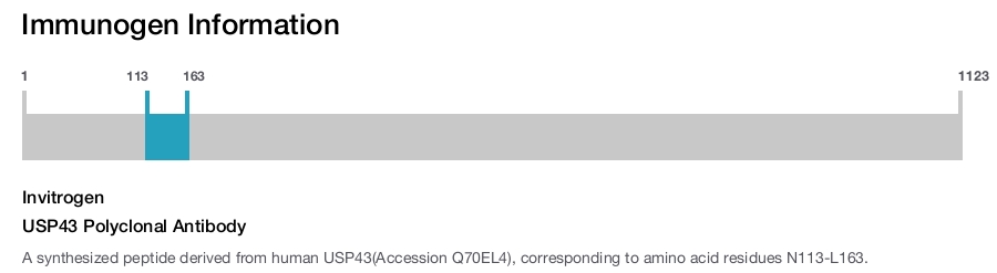 USP43 Polyclonal Antibody