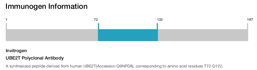 UBE2T Polyclonal Antibody