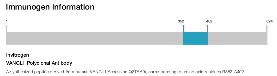 VANGL1 Polyclonal Antibody