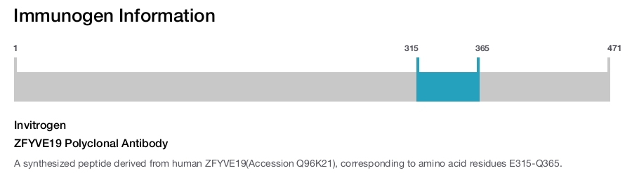ZFYVE19 Polyclonal Antibody