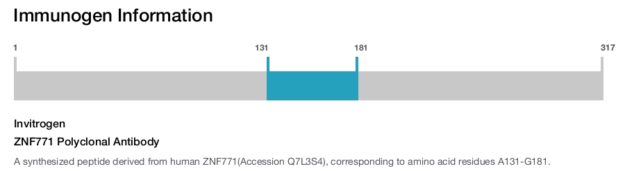 ZNF771 Polyclonal Antibody