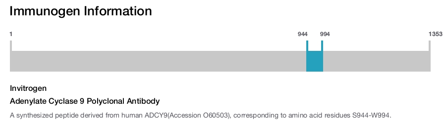 Adenylate Cyclase 9 Polyclonal Antibody