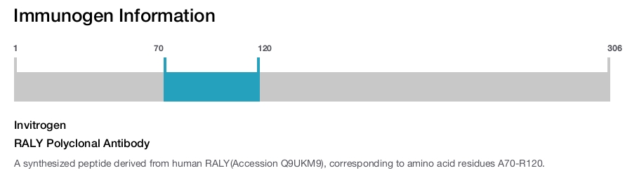 RALY Polyclonal Antibody