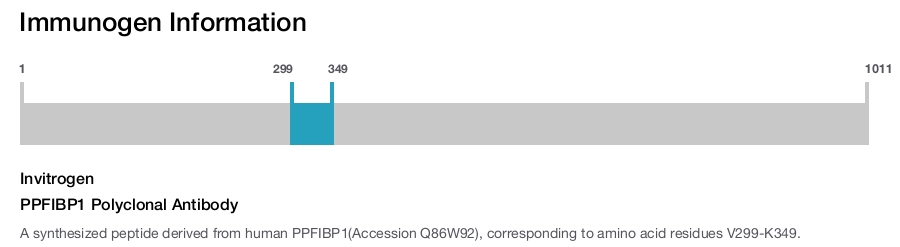 PPFIBP1 Polyclonal Antibody
