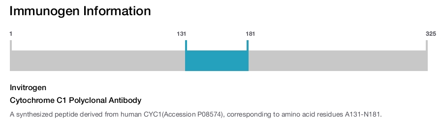 Cytochrome C1 Polyclonal Antibody