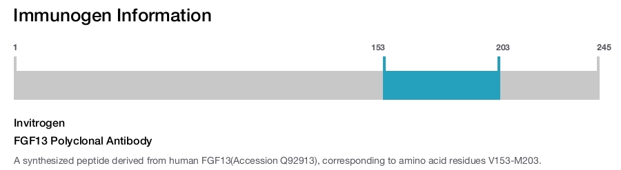 FGF13 Polyclonal Antibody