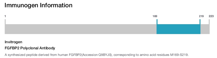 FGFBP2 Polyclonal Antibody