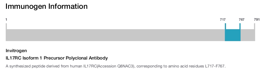 IL17RC Isoform 1 Precursor Polyclonal Antibody