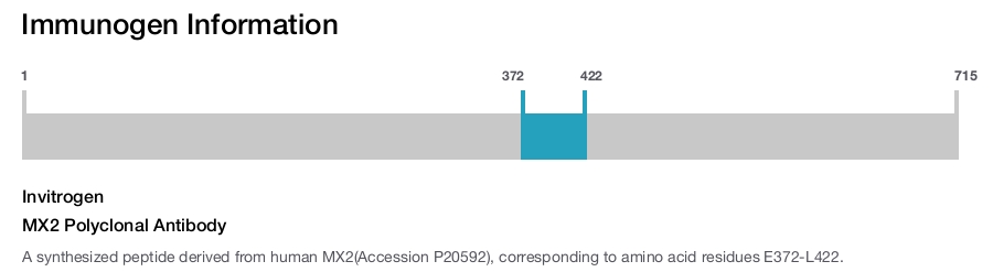MX2 Polyclonal Antibody