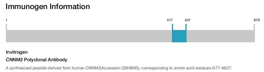CNNM2 Polyclonal Antibody
