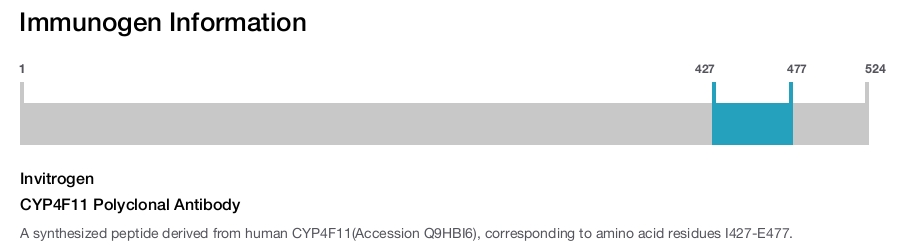 CYP4F11 Polyclonal Antibody