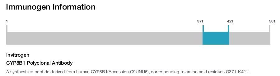 CYP8B1 Polyclonal Antibody