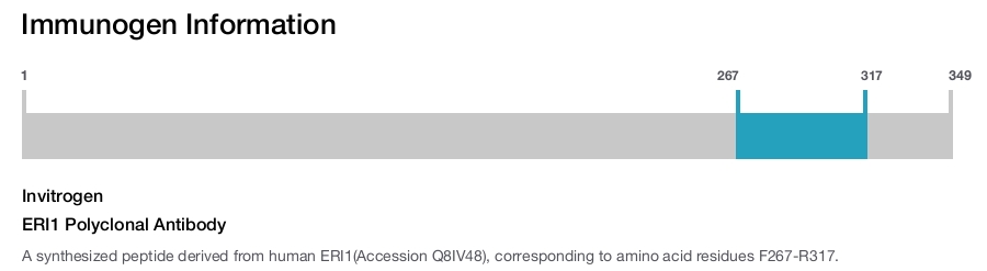 ERI1 Polyclonal Antibody